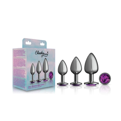 Purple Round Gem Anal Trainer Kit – Gunmetal – Tapered Anal Plugs