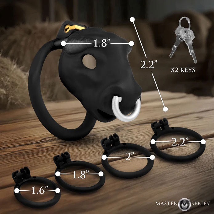 Bull Chastity Cage - Black with Graduated Rings and Cum-Thru Tip