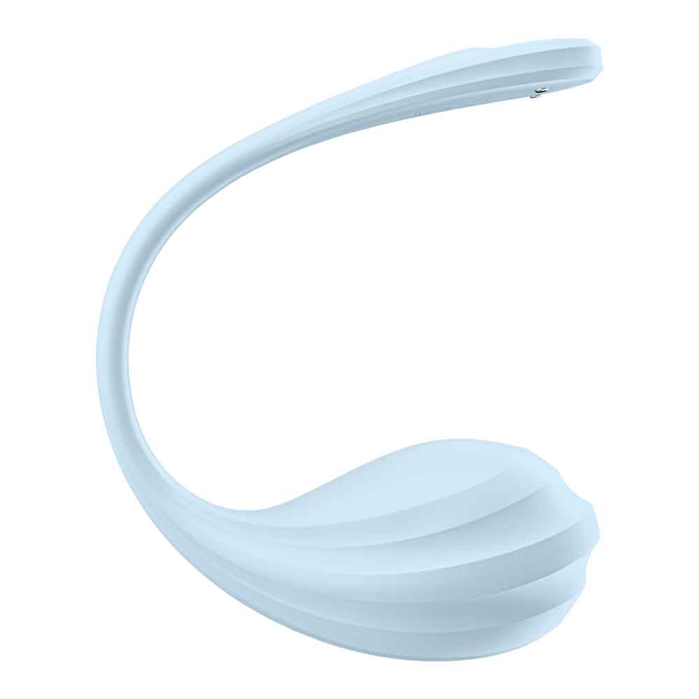 Satisfyer Smooth Petal G-Spot Vibrator – Light Blue